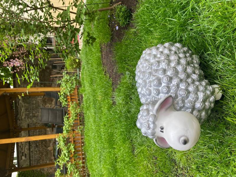 Schatzkiste1 Gartenfigur VIP Schaf Dekoschaf Witziges Schaf Wetterfest Bunte Gartenfigur von Schatzkiste1
