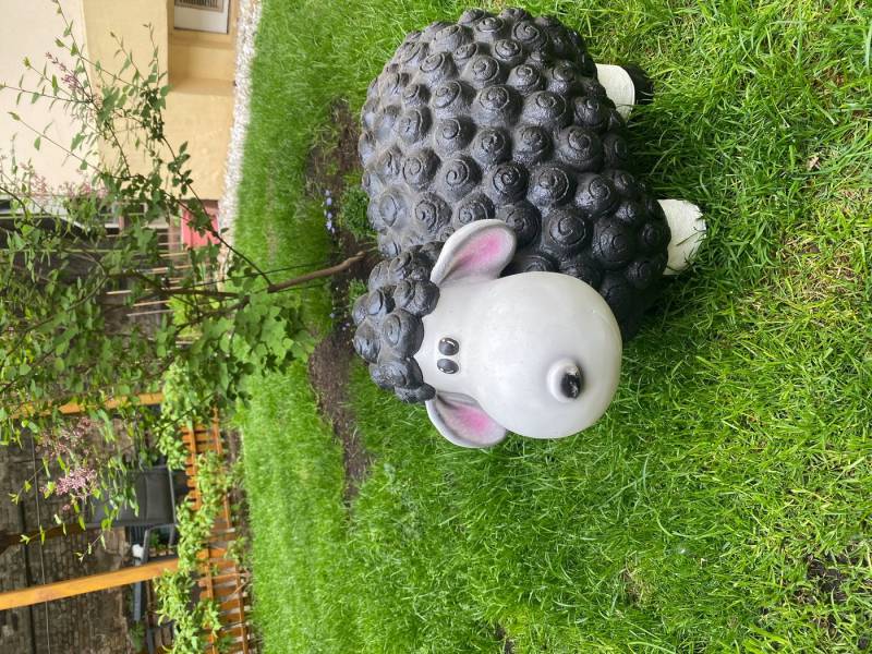 Schatzkiste1 Gartenfigur VIP Schaf Dekoschaf Witziges Schaf Wetterfest Bunte Gartenfigur von Schatzkiste1