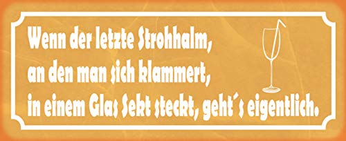 Schatzmix Spruch Strohhalm Glas Sekt Trinken Metallschild 27x10 cm Wanddeko tin Sign Blechschild, Blech, Mehrfarbig von Schatzmix