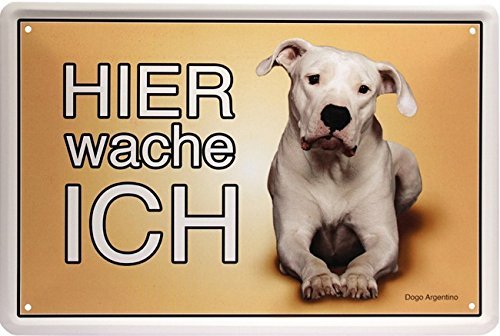 Schatzmix Blechschild Hier Wache Ich - Dogo Argentino - Hund Dog von Schatzmix