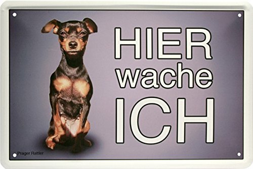 Schatzmix Blechschild Hier Wache Ich - Prager Rattler - Hund Dog von Schatzmix