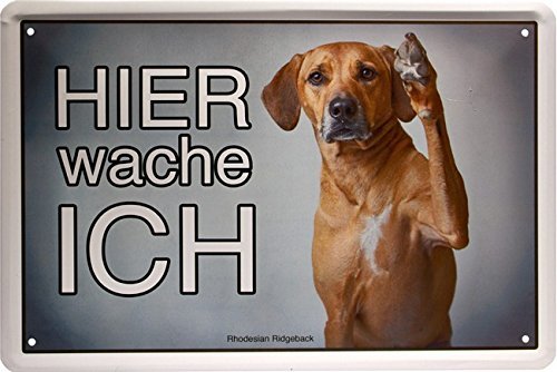 Schatzmix Blechschild Hier Wache Ich - Rhodesian Ridgeback - Hund Dog von Schatzmix