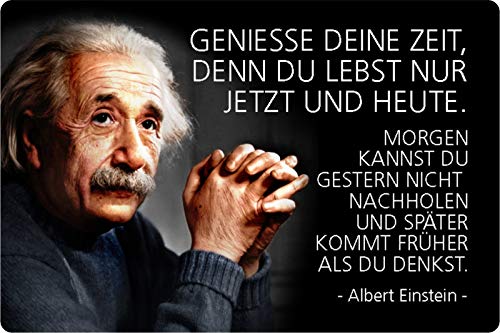 Schatzmix Blechschild Spruch Albert Einstein Geniess Die Zeit Metallschild Wanddeko 20x30 tin Sign von Schatzmix