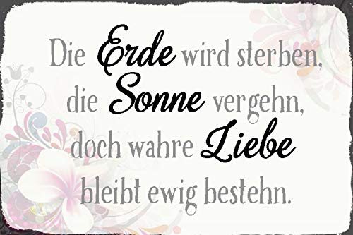 Schatzmix Blechschild Spruch Die Erde Wird sterben Sonne Metallschild Wanddeko 20x30 tin Sign von Schatzmix