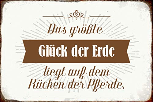 Schatzmix Blechschild Spruch Das größte Glück der Erde Metallschild Wanddeko 20x30 tin Sign von Schatzmix