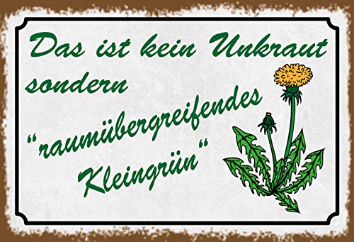 Schatzmix Spruch raumübergreifendes Kleingrün Metallschild Wanddeko 20x30 cm tin Sign Blechschild, Blech, Mehrfarbig von Schatzmix