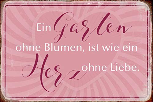 Schatzmix Spruch EIN Garten ohne Blumen Metallschild Wanddeko 20x30 tin Sign Blechschild, Blech, Mehrfarbig, 20x30 cm von Schatzmix