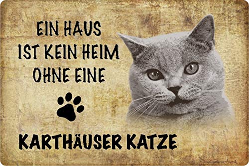 Schatzmix Blechschild Katze Kein Heim ohne Kartäuser Metallschild Wanddeko 20x30 tin Sign von Schatzmix