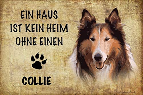 Schatzmix Blechschild Hund Kein Heim ohne EIN Collie Metallschild Wanddeko 20x30 tin Sign von Schatzmix