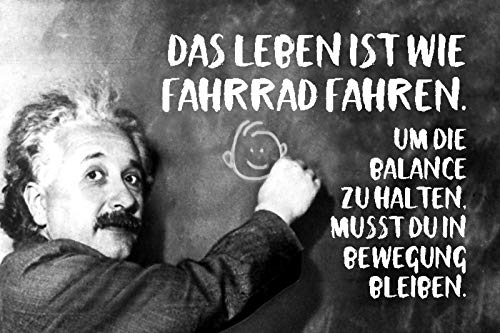 Schatzmix Spruch Das Leben ist wie Fahrrad Einstein Metallschild Wanddeko 20x30 cm tin Sign Blechschild, Blech, Mehrfarbig von Schatzmix