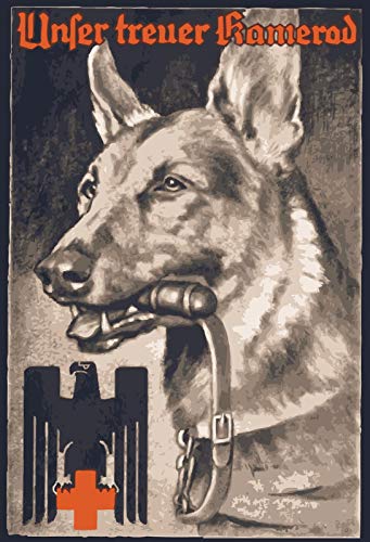 Schatzmix FA1520 Wehrmacht Hund unser treuer Kamerad Metallschild 20x30 Deko Blechschild, Blech,,Mehrfarbig, 20x30 cm cm von Schatzmix