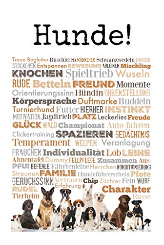 Schatzmix Spruch Fußball vereint weißes Metallschild 20x30cm Wanddeko tin Sign Blechschild, Blech, Mehrfarbig, 20x30 cm von Schatzmix