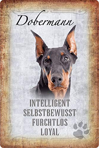 Schatzmix Blechschild Hunde Steckbrief Dobermann Metallschild Wanddeko 20x30cm tin Sign von Schatzmix