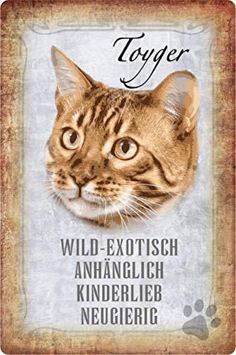 Schatzmix Blechschild Katze Steckbrief Toyger Katze Metallschild Wanddeko 20x30 tin Sign von Schatzmix