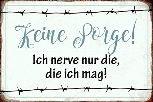 Schatzmix Spruch Keine Sorge Ich Nerve nur mag Metallschild Wanddeko tin Sign Blechschild, Blech, Mehrfarbig, 20x30 cm von Schatzmix