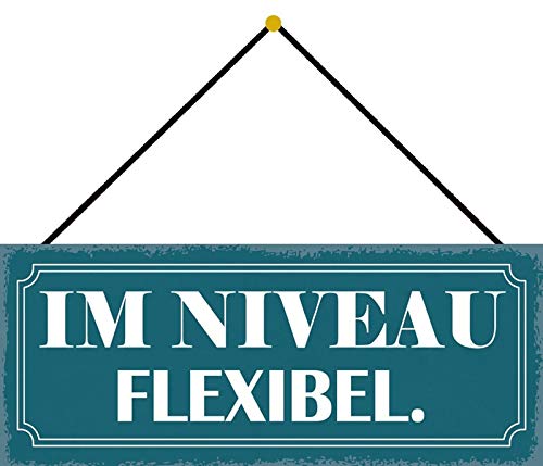 Schatzmix Niveau Flexible Metallschild Wanddeko 27x10 cm mit Kordel Blechschild, Blech, Mehrfarbig von Schatzmix