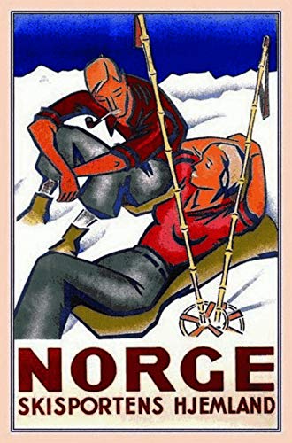 Schatzmix Norge Norwegen Winter Sport Ski Metallschild Wanddeko 20x30 cm tin Sign Blechschild, Blech, Mehrfarbig von Schatzmix