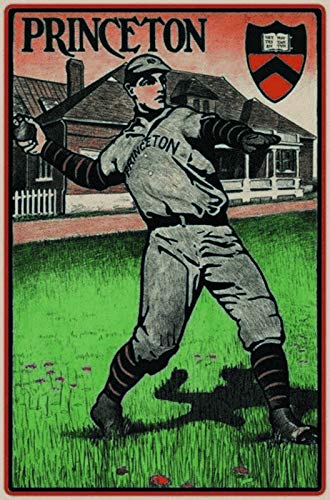 Schatzmix Princeton Baseball Metallschild Wanddeko 20x30 cm tin Sign Blechschild, Blech, Mehrfarbig von Schatzmix