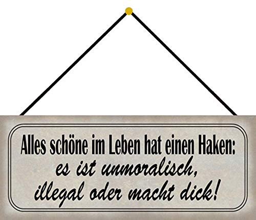 Schatzmix Schöne im Leben Haken Metallschild 27x10 cm Deko tin Sign mit Kordel Blechschild, Blech, Mehrfarbig von Schatzmix