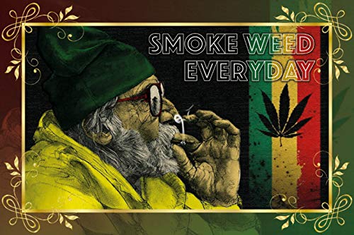Schatzmix Smoke Weed Everyday Cannabis Marijuana Metallschild Wanddeko 20x30 cm tin Sign Blechschild, Blech, Mehrfarbig von Schatzmix