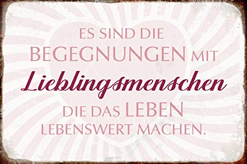 Schatzmix R0507 Spruch Begegnung Lieblingsmenschen Metallschild Wanddeko 20x30 tin Sign Blechschild,Blech,Mehrfarbig,20x30 cm von Schatzmix