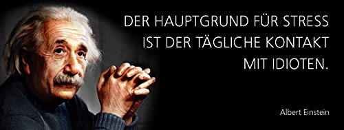 Schatzmix Spruch Der Hauptgrund für Stress ist der tägliche Kontakt mit Idioten. -Einstein-Metallschild 27x10 cm Wanddeko tin Sign Blechschild, Blech, Mehrfarbig Schatzmix Spruch Der Hauptgrund für Stress ist der tägliche Kontakt mit Idioten. -Einstein-Metallschild 27x10 cm Wanddeko tin Sign Blechschild, Blech, Mehrfarbig von Schatzmix