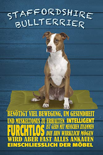 Schatzmix Spruch Hund Staffordshire Bullterrier Wanddeko 20x30 cm tin Sign Blechschild, Blech, Mehrfarbig von Schatzmix