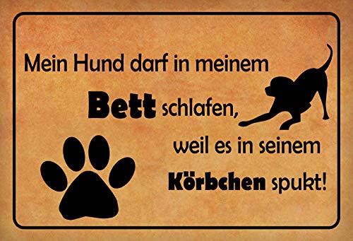 Schatzmix Spruch Hund darf im Bett schlafen Metallschild 20x30 Deko tin Sign Blechschild, Blech, Mehrfarbig, 20x30 cm von Schatzmix