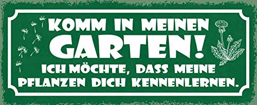 Schatzmix Spruch Komm in Meinen Garten. Ich möchte, DASS Meine Pflanzen Dich kennenlernen Metallschild 27x10 Deko tin Sign Blechschild, Blech, Mehrfarbig, 27x10 cm von Schatzmix