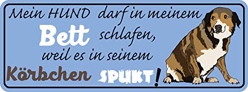 Schatzmix Spruch Mein Hund darf in Meinem Bett schlafen Metallschild 27x10 cm Wanddeko tin Sign Blechschild, Blech, Mehrfarbig, 20x30 cm von Schatzmix