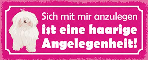 Schatzmix Spruch Sich mit Mir anzulegen ist eine haarige Angelegenheit (Rosa Schild mit Malteser) Metallschild 27x10 Deko tin Sign Blechschild, Blech, Mehrfarbig, 27x10 cm von Schatzmix