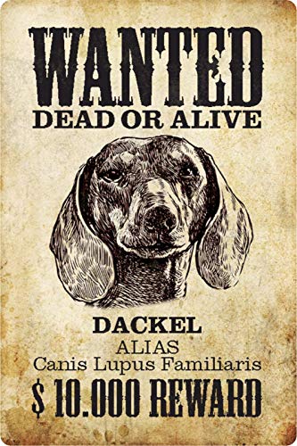 Schatzmix Blechschild Wanted Dead or Alive Dackel Metallschild Wanddeko 20x30 tin Sign von Schatzmix