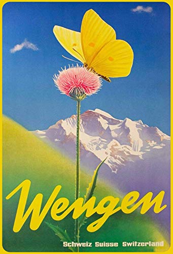 Schatzmix Wengen Blume mit Schmetterling Metallschild 20x30 Wanddeko tin Sign Blechschild, Blech, Mehrfarbig, 20x30 cm von Schatzmix