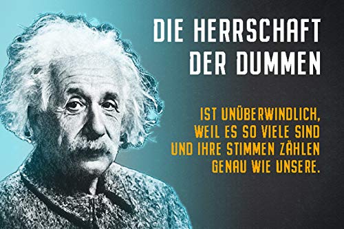 Schatzmix Spruch Die Herrschaft der Dummen A.Einstein Metallschild Wanddeko 20x30 cm tin Sign Blechschild, Blech, Mehrfarbig von Schatzmix