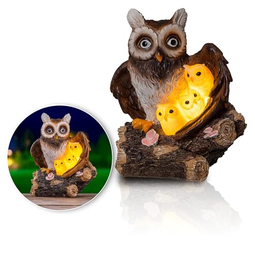 Schauer LED Solar Gartendeko für Draußen – Eulen-Familie mit 3 LEDs | Handbemalte Polyresin Eulenstatue | Wetterfeste Gartenfigur Gartendeko Solar perfekt als Terrassen Deko & Balkon Deko Schauer LED Solar Gartendeko für Draußen – Eulen-Familie mit 3 LEDs | Handbemalte Polyresin Eulenstatue | Wetterfeste Gartenfigur Gartendeko Solar perfekt als Terrassen Deko & Balkon Deko von Schauer