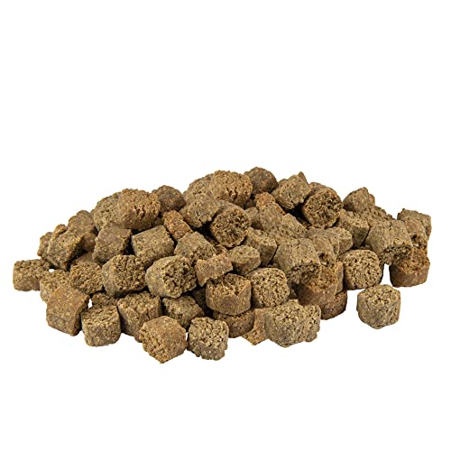 Schecker Hundeleckerli - Lamm Crockies - Hundekekse ohne Getreide für Hunde - mit Lamm (Single-Protein!) 1 kg Schecker Hundeleckerli - Lamm Crockies - Hundekekse ohne Getreide für Hunde - mit Lamm (Single-Protein!) 1 kg von Schecker