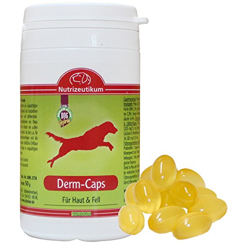 Schecker Derm-Caps 50g (125 Tabs) gegen trockener, schuppiger und juckender Haut stumpfem, glanzlosem Fell bis oder Haarausfall für den Hund von Schecker