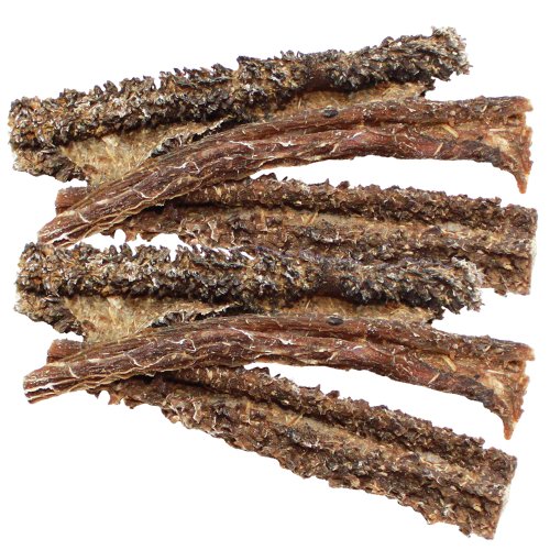Schecker DOGREFORM Lamm Pansen 500g noch herzhafter und zarter als herkömmlicher Rinderpansen vor allem wesentlich bekömmlicher wir haben dem Pansen das Stinken abgewöhnt von Schecker