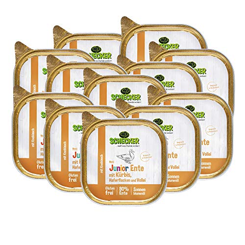 Schecker Nassfutter - Hundemenü Junior Ente mit Kürbis, Haferflocken und Vollei - 12 x 200 g - Welpenfutter - mit 80% Ente Schecker Nassfutter - Hundemenü Junior Ente mit Kürbis, Haferflocken und Vollei - 12 x 200 g - Welpenfutter - mit 80% Ente von Schecker