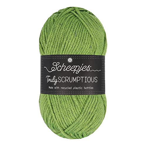 Scheepjes 1739-326 Wirklich lecker Truly Scrumptious Baumwolle Garn, recyceltes Polyester 50% Acryl, 326 Matcha Chiffon Cake, 1x100g von Scheepjes