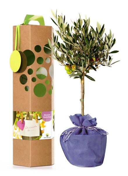 SchenkeinBäumchen Wunschbaum von SchenkeinBäumchen