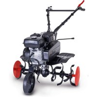 Benzin-Motorhacke MTP750 Scheppach - 5,7PS | 75cm Arbeitsbreite | 31cm Arbeitstiefe | 24 Messer ⌀315mm | 2 Vorwärtsgänge | Transportrad von Scheppach