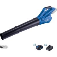 Laubblaeser 20V 2 akkus 4.0Ah + Ladegeraet ixes Scheppach c-bl700-x von Scheppach