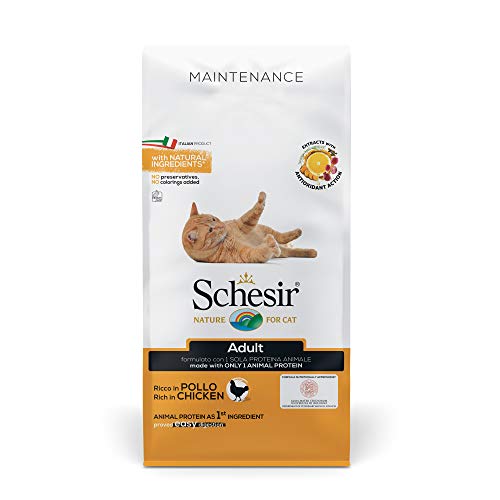 Schesir Cat Adult Maintenance Huhn, Katzenfutter trocken für erwachsene Katzen, Beutel, 10 kg von Schesir