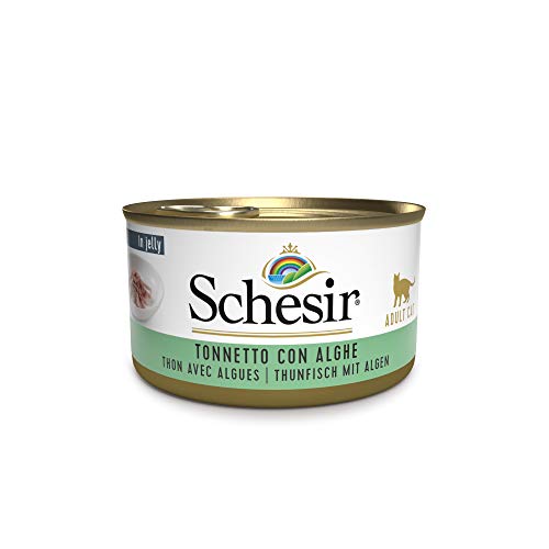 Schesir Cat Jelly Thunfisch mit Alge, Katzenfutter nass in Gelee, 24 Dosen x 85 g Schesir Cat Jelly Thunfisch mit Alge, Katzenfutter nass in Gelee, 24 Dosen x 85 g von Schesir