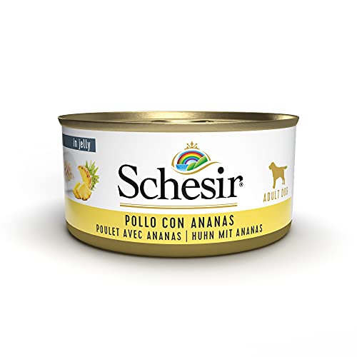 Schesir Dog Fruit Hühnerfilet mit Ananas, Hundefutter nass mit Früchten, 18 Dosen x 150 g von Schesir