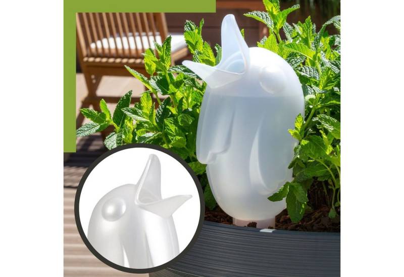 Scheurich Bewässerungssystem -, (Spar-Set, 2-tlg), Scheurich Wasserspender Bördy XXL 1000 ml von Scheurich