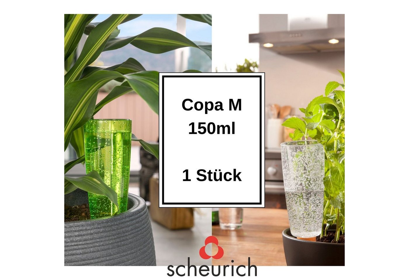 Scheurich Bewässerungssystem -, (Spar-Set, 2-tlg), Scheurich Wasserspender Copa M 150 ml von Scheurich