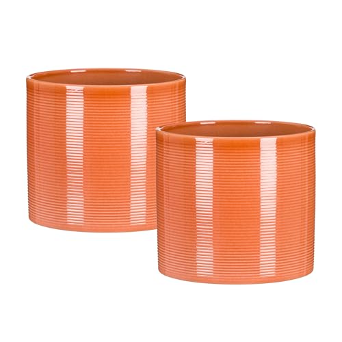 Scheurich Blumentopf 2er Set aus Keramik, Farbe: Papaya, 16 cm Durchmesser, 15 cm hoch, 2,6 l Vol. von Scheurich