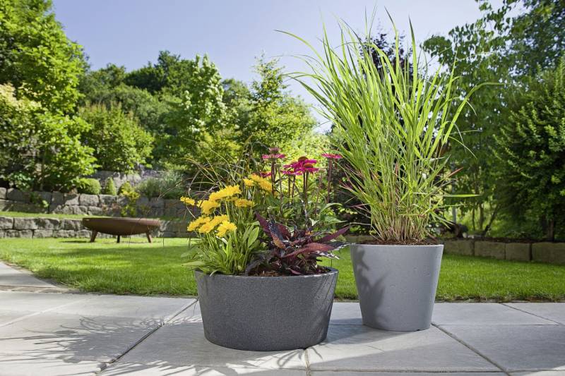 Scheurich Pflanzschale C-Cone Serie 239 schwarz-granit Ø 40 cm Scheurich Pflanzschale C-Cone Serie 239 schwarz-granit Ø 40 cm von Scheurich